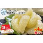 ふるさと納税 みかん・柑橘類 高知県 土佐市  先行予約 楠瀬さん土佐文旦 約4kg Mサイズ 猫ムッキーちゃん入り 12玉前後 ぶんたん ブンタン フルーツ 柑橘 み…