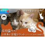 体験チケット 沖縄保護猫カフェふれあい体験120分ペアチケ…