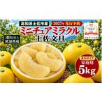 土佐文旦 ミニチュアミラクル 5kg