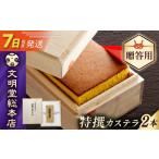 菓子 カステラ 7日発送 特撰カステラ1号580g×2本