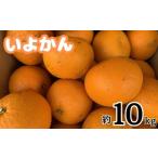 ふるさと納税 果物類 みかん 愛媛県 松山市 愛媛県松山市産 訳あり いよかん 約10kg
