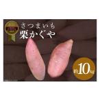 野菜類 サツマイモ 2026年度産 さつまいも