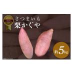 野菜類 サツマイモ 2026年度産 さつまいも