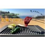 入場券 優待券 太平洋を一望 日帰りBBQプラン 2名様