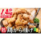 鶏肉 唐揚げ から揚げ3種セット しょうゆ