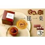 焼菓子 チョコレート パウンドケーキ 587