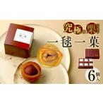 焼菓子 チョコレート パウンドケーキ 588