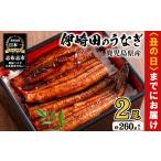 ふるさと納税 うなぎ 鹿児島県 志布志市  丑の日までに配送 数量限定 鹿児島県産 伊崎田のうなぎ蒲焼 130g以上 × 2尾(計260g以上) 鰻 うなぎ ウナギ 蒲焼き 2…