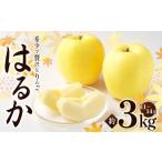 ふるさと納税 りんご 長野県 松川村 2025年先行予約 浅野農園 はるか 3kg | リンゴ りんご 林檎 果物 くだもの フルーツ 果実 果汁 はるか 長野県 松川村 信…