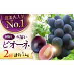 果物類 ぶどう 訳あり ピオーネ 1kg