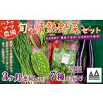 セット 詰合せ 3ヶ月連続お届け 農園自慢の情熱野菜セット …