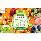果物の詰合せ 定期便全12回 旬果厳選 四季を味わう単品定期…
