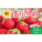 いちご 朝摘み 完熟 まりひめ 約300g