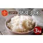 ふるさと納税 玄米 熊本県 益城町 発芽玄米 3kg 玄米 ヒノヒカリ お米 小分け