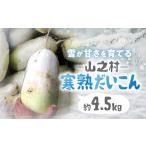 fu.... налог овощи вид дайкон Gifu префектура .. город предшествующий предварительный заказ { полный небо синий пустой ресторан 2|15 радиовещание }. мир 9 год производство .. гора .. Shimizu san .. [ холод . дайкон ].. дайкон примерно 4.5kg 2...