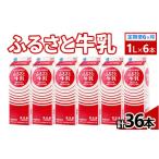飲料類 牛乳 定期便6ヶ月 ふるさと牛乳1L