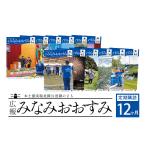 自治体にお任せの広報誌 広報みなみおおすみ