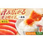 魚貝類 明太子 博多辛子明太子の島本 希少