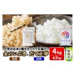 ふるさと納税 米 宮城�