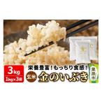 ふるさと納税 玄米 宮城県 栗原市 米 玄米 金のいぶき 3kg（1kg×3袋）