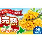 缶詰 瓶詰 野菜類 \リピーター続出 自然甘ホールコーン 6缶
