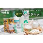 飲料類 牛乳 ヨーグルト3種20個セット