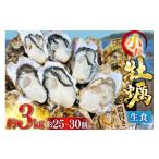 ふるさと納税 牡蠣 生牡蠣 宮城県 気仙沼市  期間限定発送 牡蠣 小粒 1〜1年半モノ 生食 殻付き牡蠣 約3kg (約25〜30個入) 住喜水産 宮城県 気仙沼市 20565054…