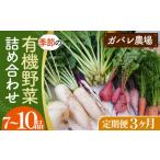 セット 詰合せ 有機野菜の定期便3ヶ月 ガバレ農場の季節の…