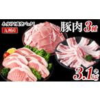 小分け 真空パック 九州産豚肉3種 計3.1kg