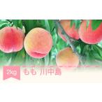 ふるさと納税 もも 山形県 村山市 先行予約 もも 桃 川中島 約2kg 令和7年産 2025年産 果物 ja-moknx2