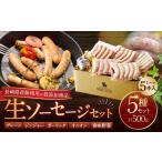 豚肉 焼肉 バーベキュー 低添加生ソーセージセット