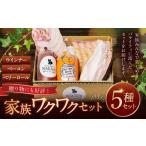 肉 ソーセージ 家族ワクワクセット ベーコン