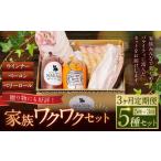 肉 ソーセージ 全3回定期便 家族ワクワクセット