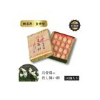 特選 有精卵 烏骨鶏のたまご 16個セット