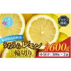 みかん 柑橘類 レモン うちうらレモン 輪切り
