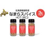 塩 だし なまらスパイスHOT 辛口 3本