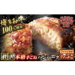 肉 ハンバーグ 5ヶ月定期便 博多和牛100%