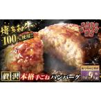 肉 ハンバーグ 隔月6回定期便 博多和牛100%