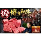 牛肉 ヒレ 10ヶ月定期便 訳あり 博多和牛ヒレサイコロステ…