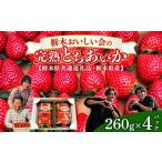 ふるさと納税 いちご 栃木県 さくら市 栃木おいしい会のいちご（とちあいか）260g×4パック（1040g）｜栃木県共通返礼品 栃木県産 離島への配送不可 2026年1月…