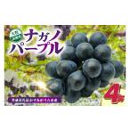 ぶどう ナガノパープル4房 県内共通返礼品:かすみがうら市産