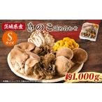 fu.... налог овощи вид .. . Ibaraki префектура - Ibaraki префектура замок . блок производство .. это набор S размер примерно 1kg 1593968