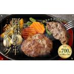 牛肉 ハンバーグ 阿蘇あか牛ハンバーグ 100g×7個