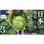 野菜類 嬬恋キャベツ 嬬恋産 高原キャベツ3玉1ケース