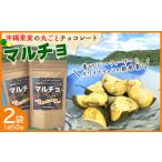 菓子 チョコレート 沖縄果実の丸ごとチョコレート