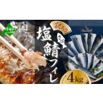 ふるさと納税 魚貝類 北海道 別海町  訳あり 塩 サバ フィレ（ふるさと納税 鯖 ふるさと納税 サバ 塩鯖 塩サバ 魚 切り身 ふるさと納税 訳あり わけあり ふる…