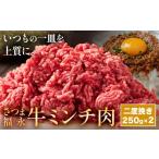 牛肉 ハンバーグ さつま福永牛 ミンチ肉 二度挽き 250g×2パ…
