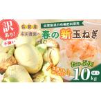 ショッピングふるさと納税 玉ねぎ ふるさと納税 野菜類 玉ねぎ 佐賀県 太良町  先行受付 牟田農園の春の新玉ねぎ (訳あり不揃い) １０kg たまねぎ タマネギ 野菜 新玉ねぎ 玉ねぎ 10kg 玉ねぎ …