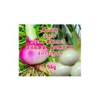 fu.... налог овощи вид шар лук порей префектура Okayama город Okayama Okayama город производство ...... шар лук порей 2.5kg. красный шар лук порей 2.5kg. комплект ( размер смешивание )