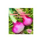 fu.... налог овощи вид шар лук порей префектура Okayama город Okayama Okayama город производство красный фиолетовый шар лук порей 5kg( размер смешивание ) культивирование период средний пестициды * убийца сорняков не использование природа. сила здоровье овощи 